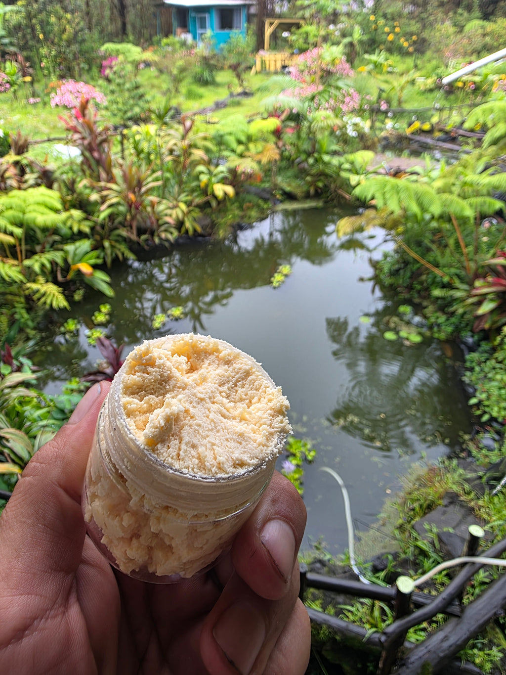 FlashTown Farm landscape Big Island Hawaii, source of fresh fruit ingredients for Fruity Puppy skincare