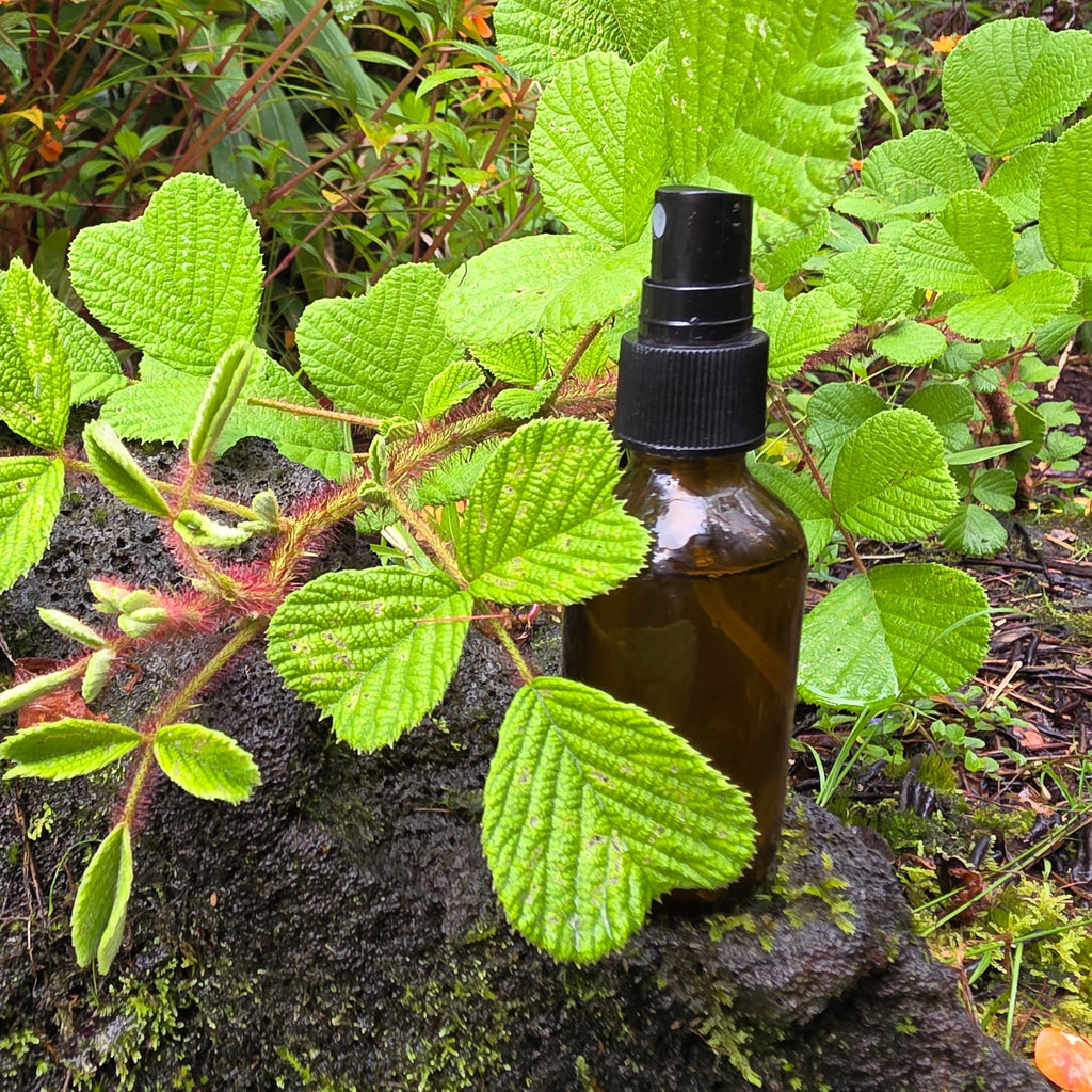 Thorny Toad Face Juice toner with fresh stickerbush cane green tea guava lemon jungle mint