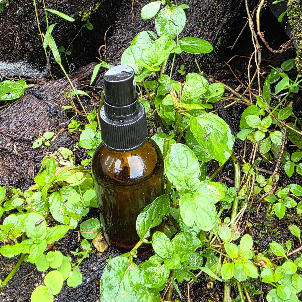 Thorny Toad Face Juice toner spray mechanism, precise application volcanic plant chemistry