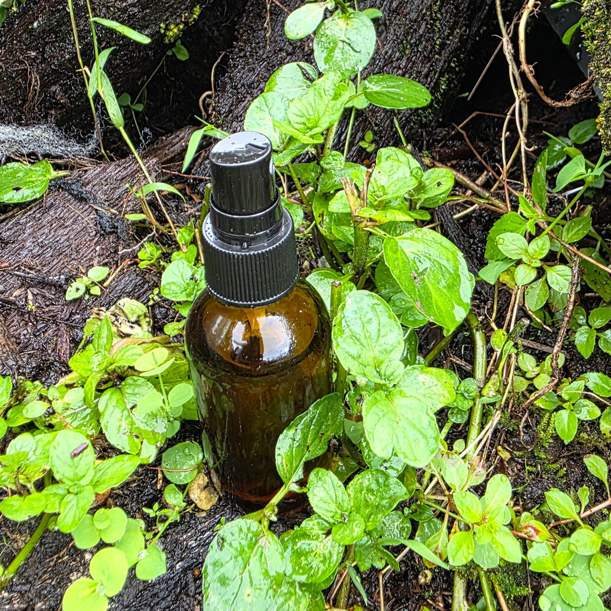 Thorny Toad Face Juice toner spray mechanism, precise application volcanic plant chemistry