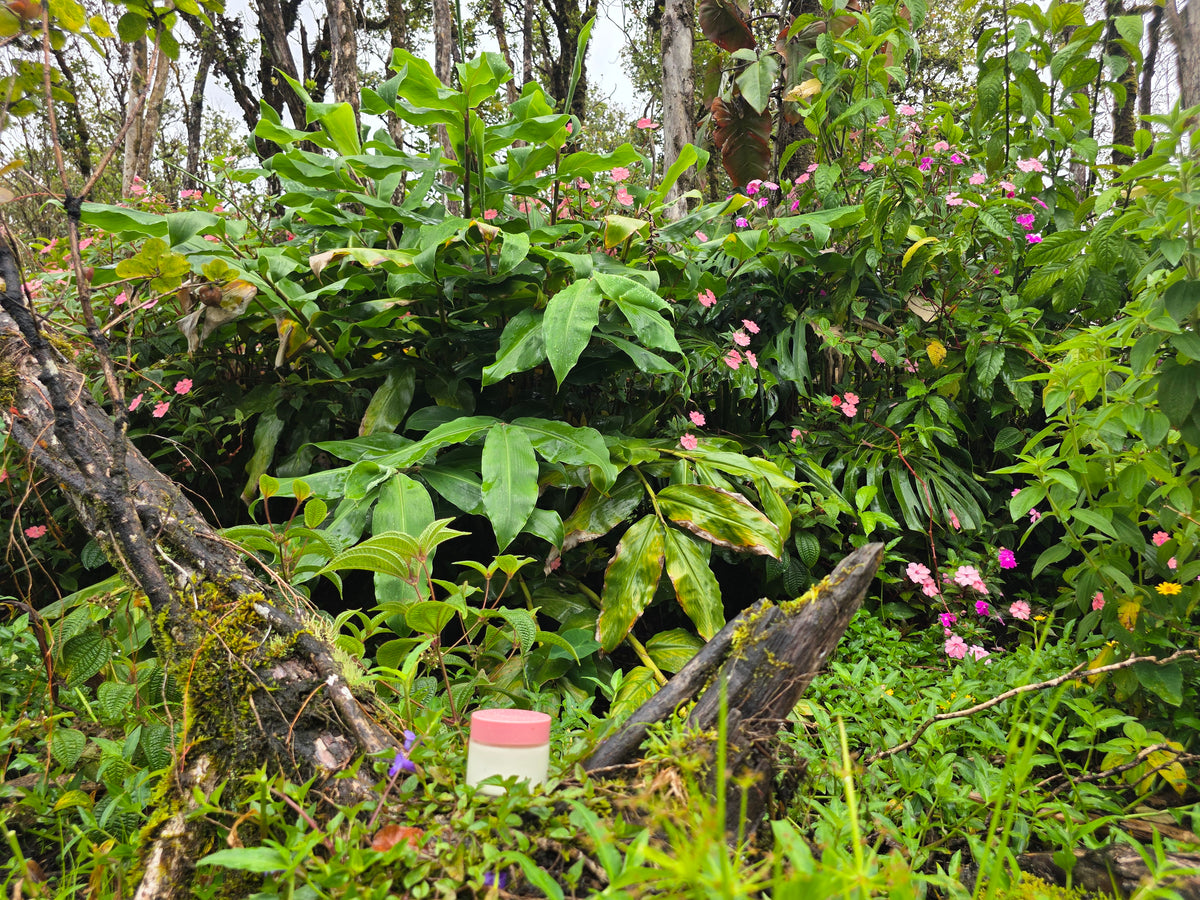 Lava-Guava Bomb Balm